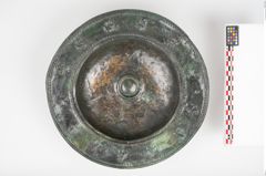 Foto von Bronzebreitrandfußschale (NHMW-PRAE-025521)